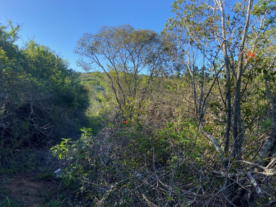 0 Bedroom Property for Sale in Bathurst Eastern Cape